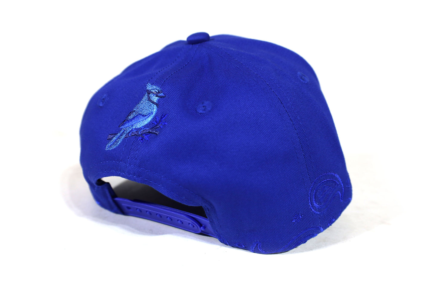 Dreams x RBH Paisley Trucker Hat Royal